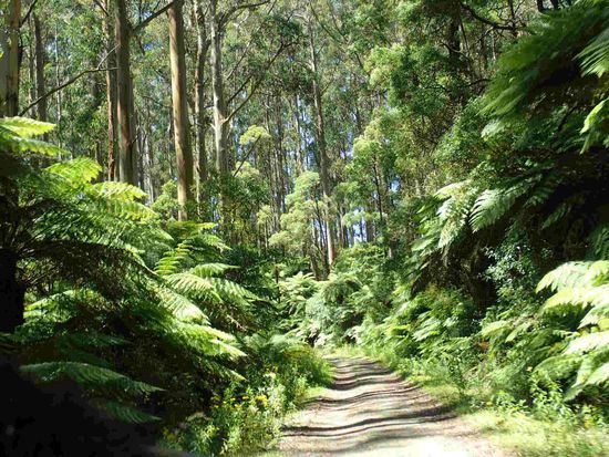 Und langsam reicht es auch