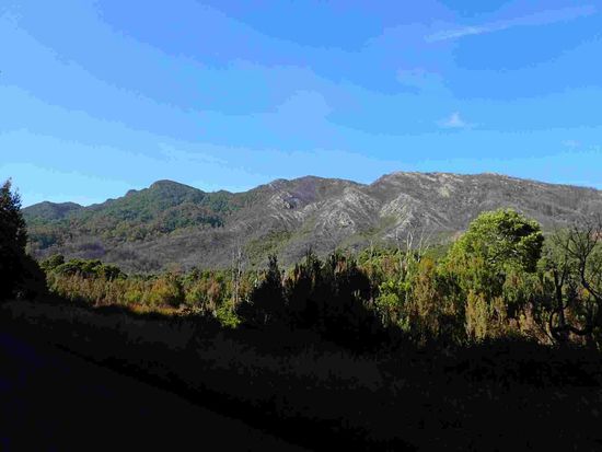 So unglaublich für uns