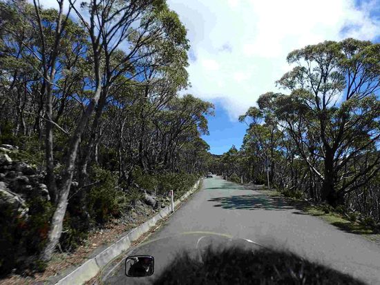 Weg auf den Mt Wellington