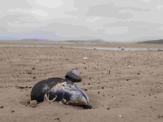 Rätsel - was ist das? 