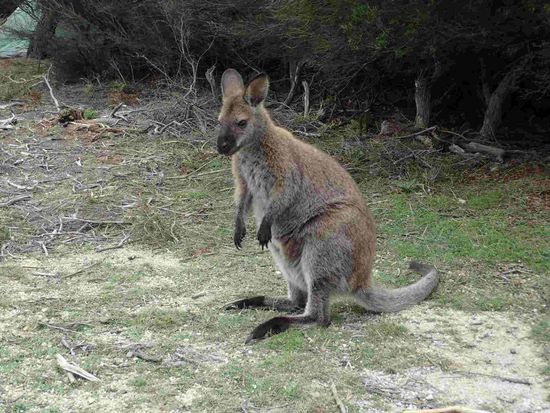 Na, wer kommt denn da neu an 