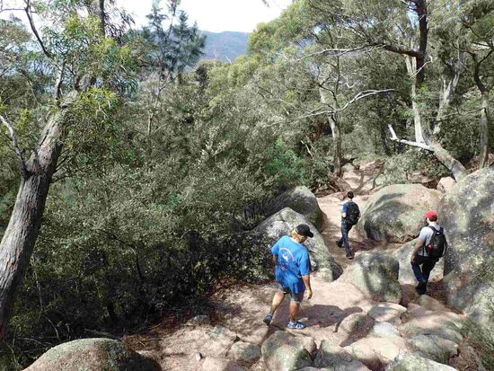 Über Stock und Stein  