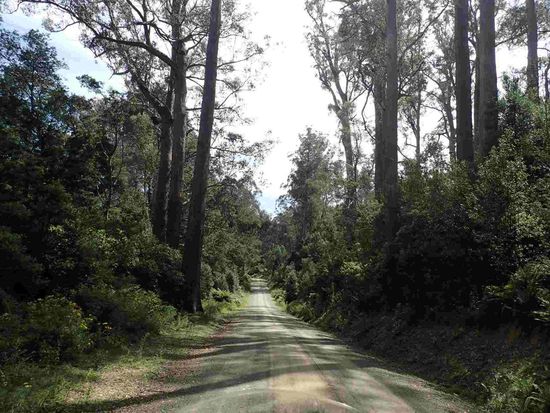 Und hinein in den NP