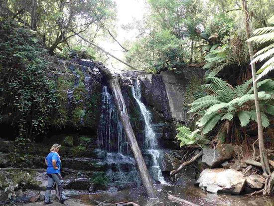 bei den Lilydale Wasserfällchen 
