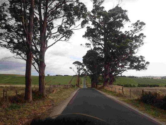 Leider ist es heute etwas bewölkt