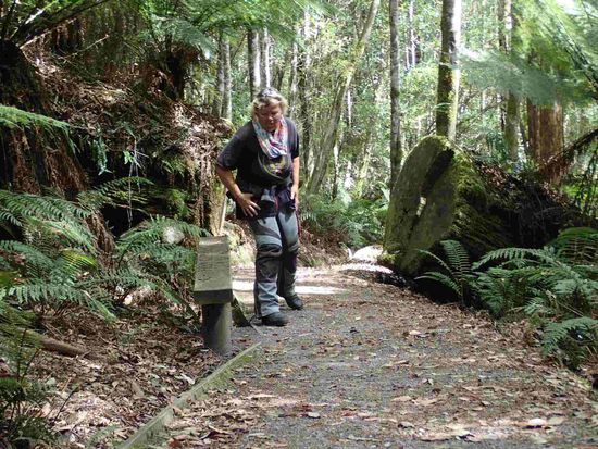 Ich würd ja so gern rasten aber weiter geht´s 