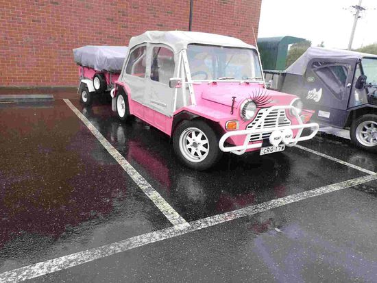 Die Mini Moks kommen