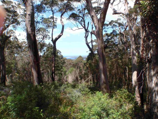 Es ist traumhaft schön hier