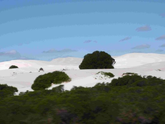 Uppps es hat geschneit über Nacht - nein, ein schöne Sanddüne