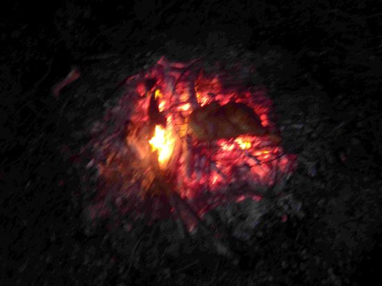 Das Beste kommt wie immer zum Schluss 