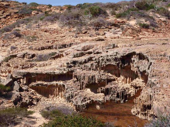 Was die Natur alles hervorzaubert