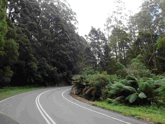 Durch den NP Richtung Colac