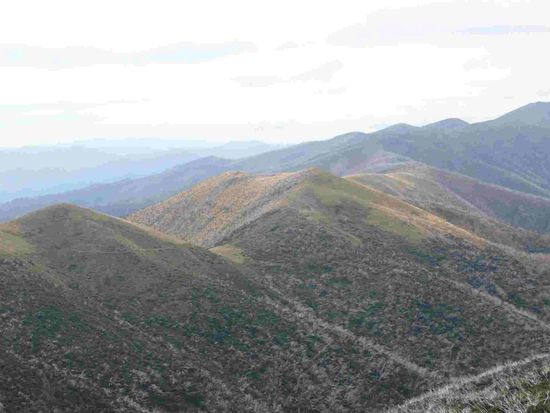 Wie in die Landschaft gezeichnet