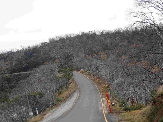 Bitte wieder die Bäume beachten