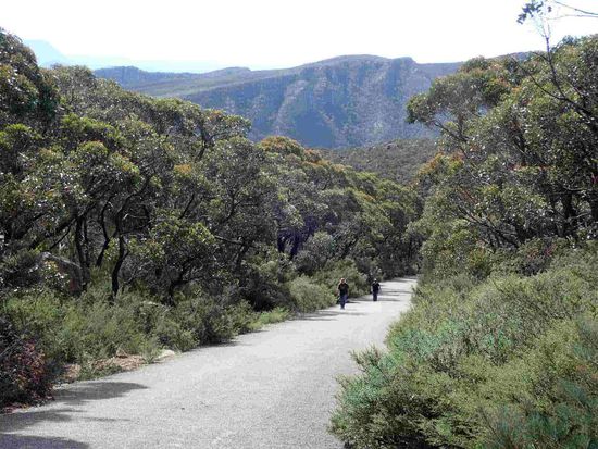 Auffi muaß i aufn Berg 