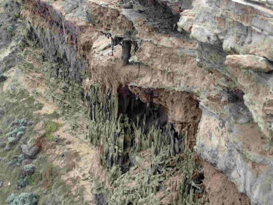 An den Sandsteinküsten des Cape Nelson