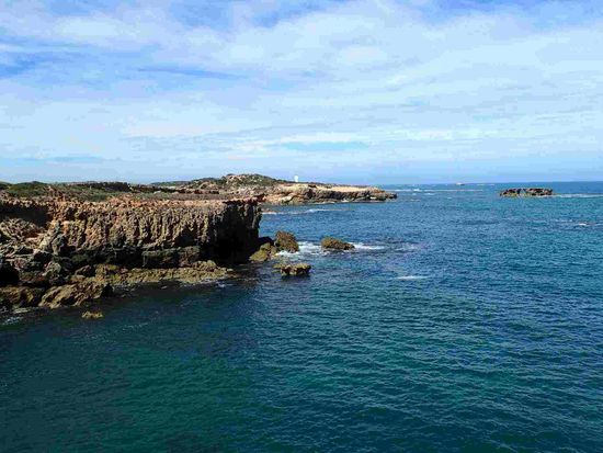 Und noch einer ganz hinten