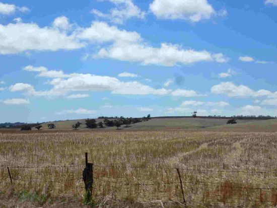 Erst die abgedroschenen Felder