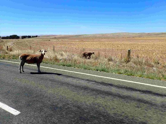 Ahhh, ist das heute wieder ein Verkehr hier 