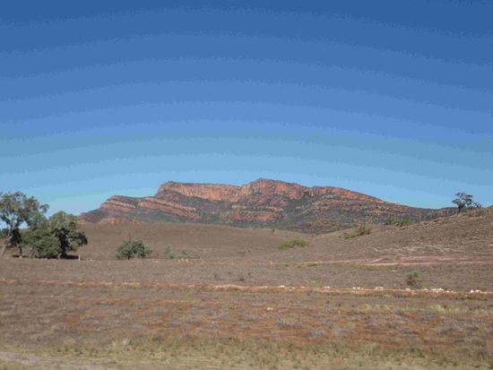 Ich hatte wieder mal die Qual der Wahl - so nehm ich halt alle 