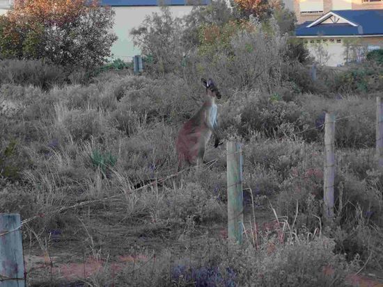 Wollt ja nur mal schauen, was es bei den Nachbarn Neues gibt 