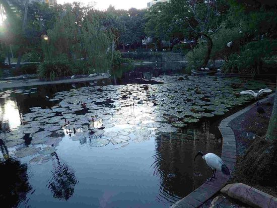 Im Botanischen Garten