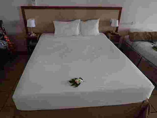 Unser Zimmer immer mit frischen Blumen verschönert