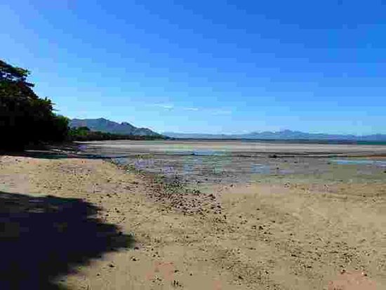 Der Strand bei Ebbe