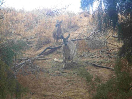 Alle Beobachtungsposten eingenommen 