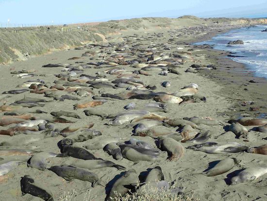 Gemeinsam kuscheln ist sooo schön 