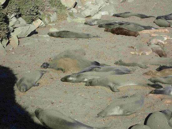 Und nun eine Schicht Sand bitte 