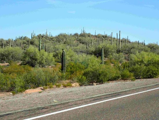 Sooo viele Kakteen......