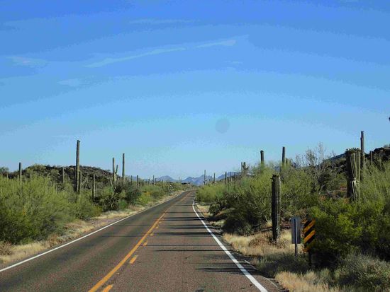 .........itm Kakteenland