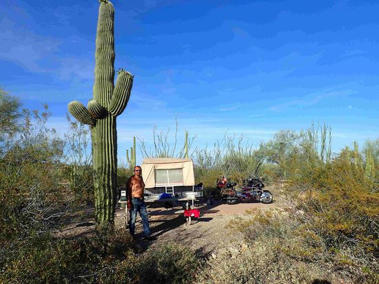 Nicht Jede/r hat seinen eigenen Kaktus vor der Tür stehen 
