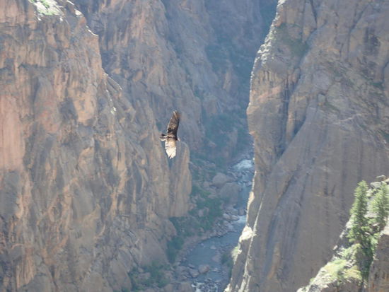 Er ist wohl auf der Suche nach einer Maus 