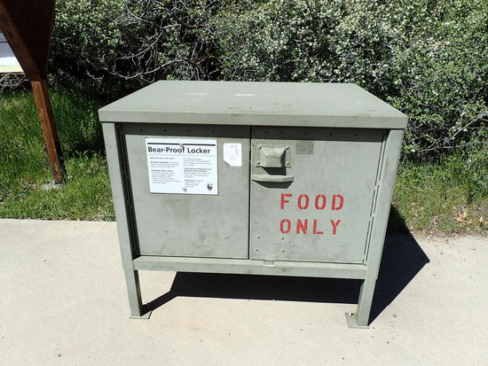 Eine der Essensboxen - Bärenboxen 