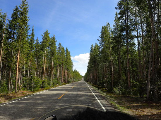 Der Weg durch den NP