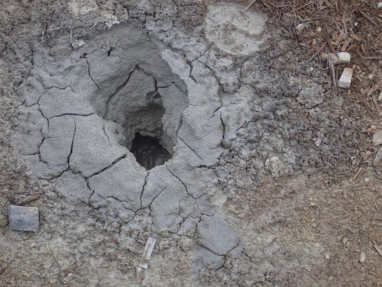 Hier kocht der Schlamm 