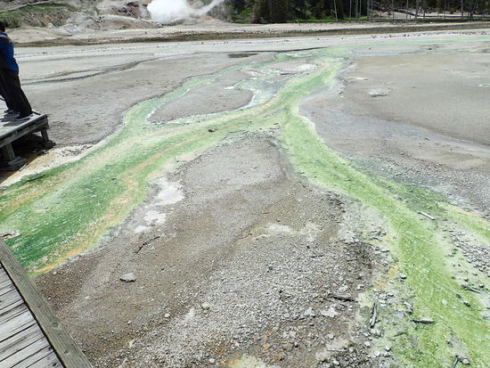....und kommt in diesen Farben an die Oberfläche