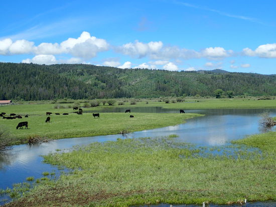 Es ist wunderschön grün rund um SLC