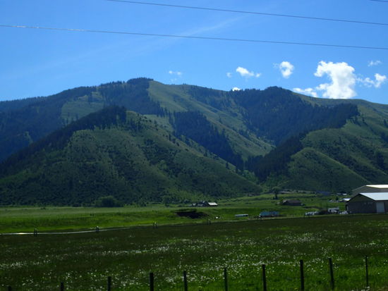 Und alles ist so schön grün