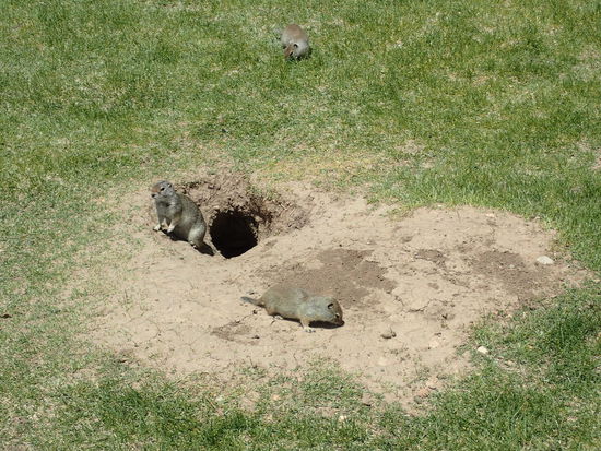 Sind wir nicht süß 