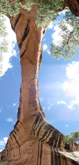 Noch eine andere Ansicht von Unten