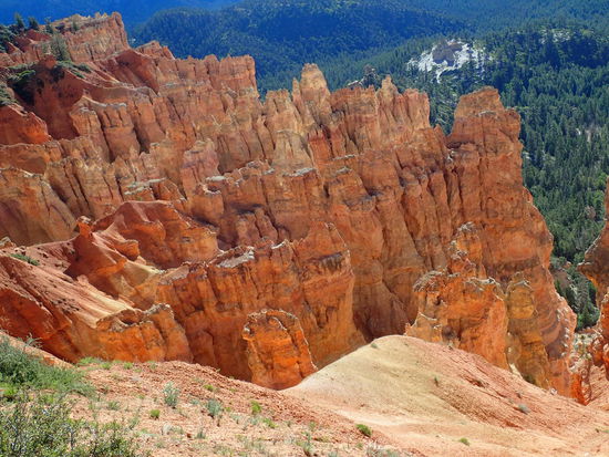 So ganz anders als die letzten NP