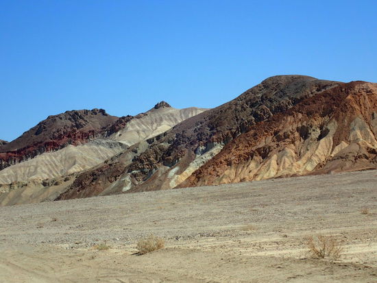 Ich konnte mich nicht entscheiden welches ich nehmen soll,...