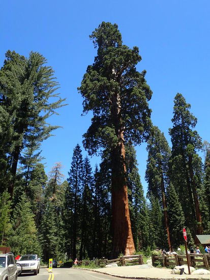 Die stellen schon was dar