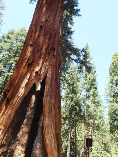 Da hätten ein paar Personen drinnen Platz 