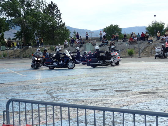 Die Golden Wing Nuggets