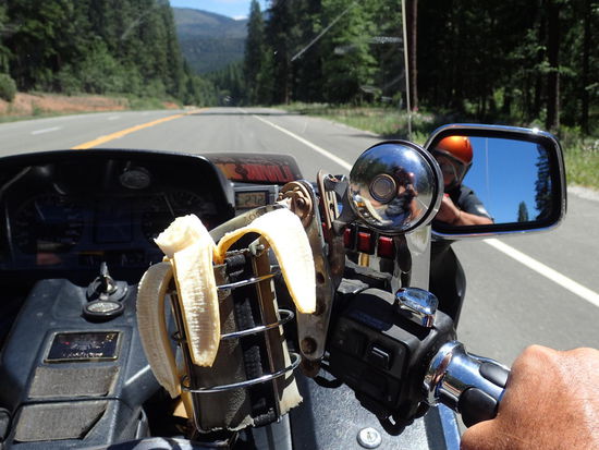 Immer gesund unterwegs