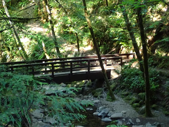 Die Sonne bahnt sich schon ihren Weg durch den Morgennebel